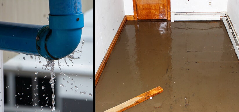 Sewage Backup (Critical Emergency) — Problem stage